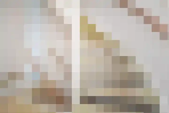 Zwolse Anjer 42 Nootdorp thumbnail 37