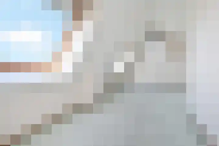 Zwolse Anjer 42 Nootdorp thumbnail 39