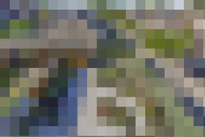 Zwolse Anjer 42 Nootdorp thumbnail 41