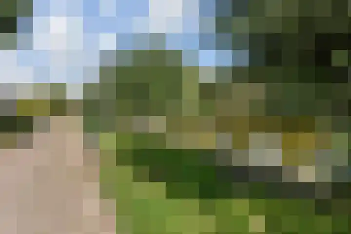 Zwolse Anjer 42 Nootdorp thumbnail 46