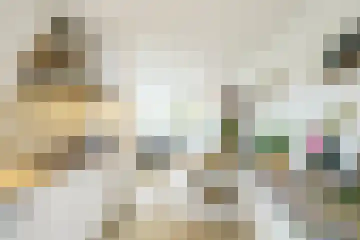 Zwolse Anjer 49 Nootdorp thumbnail 10