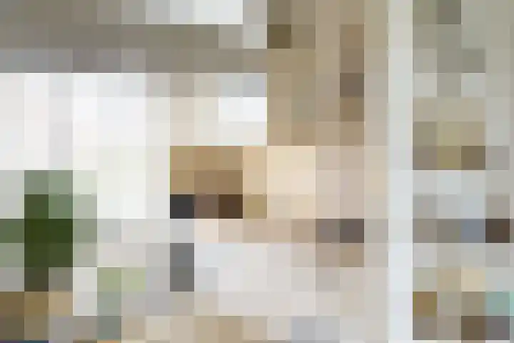 Zwolse Anjer 49 Nootdorp thumbnail 11