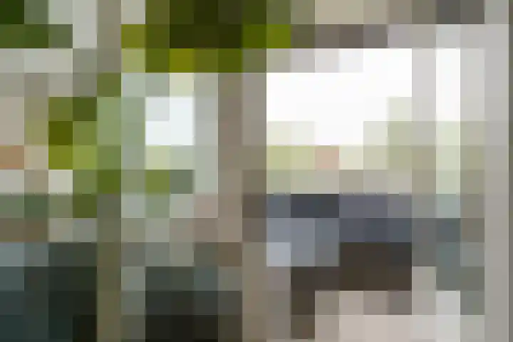 Zwolse Anjer 49 Nootdorp thumbnail 12