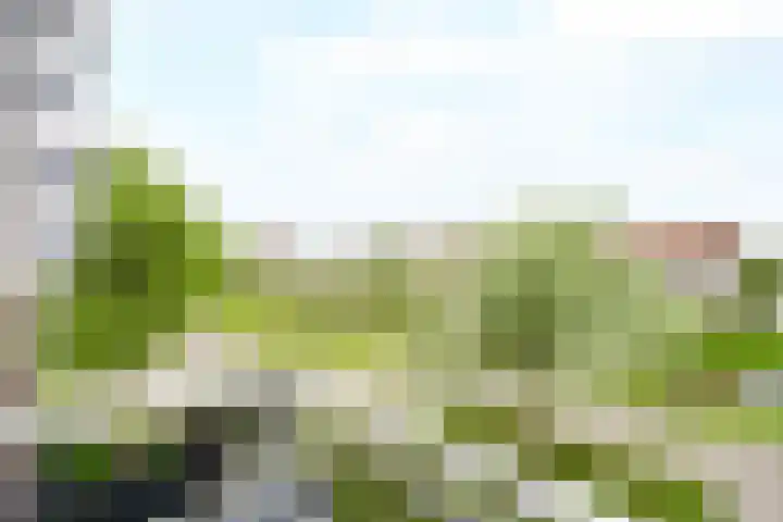 Zwolse Anjer 49 Nootdorp thumbnail 13