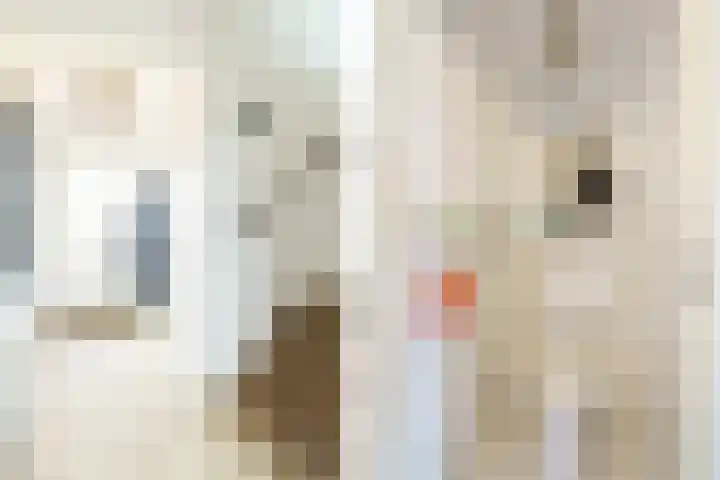 Zwolse Anjer 49 Nootdorp thumbnail 14