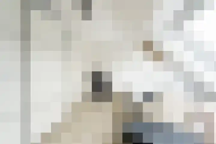 Zwolse Anjer 49 Nootdorp thumbnail 16