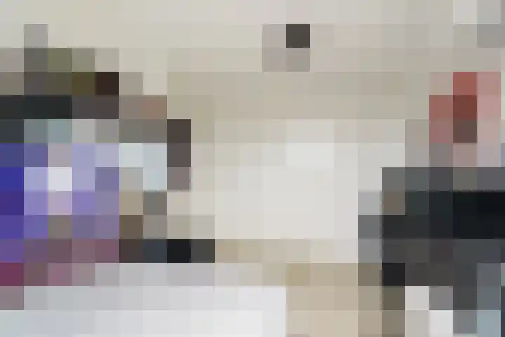 Zwolse Anjer 49 Nootdorp thumbnail 18