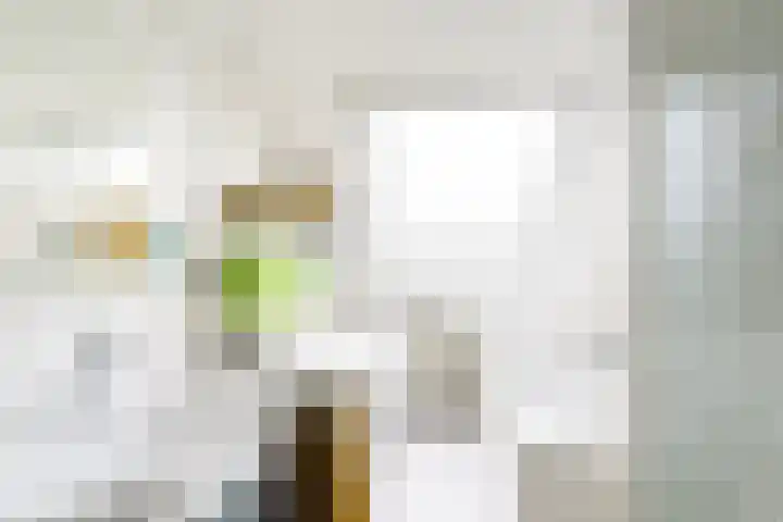 Zwolse Anjer 49 Nootdorp thumbnail 19