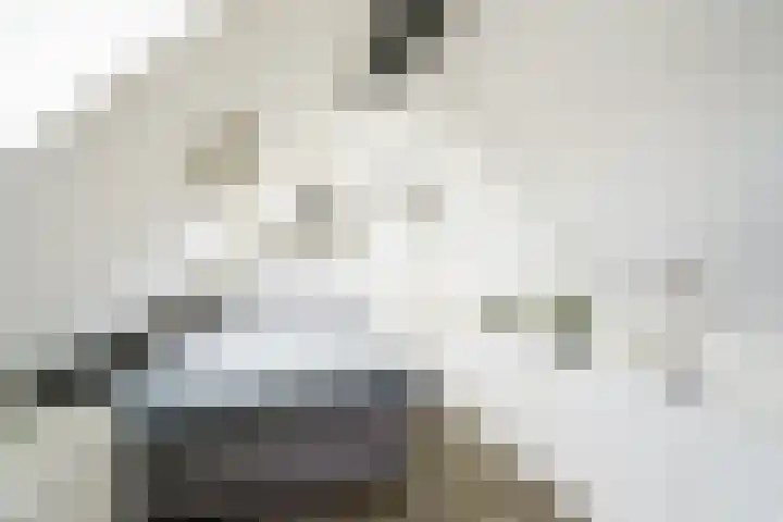 Zwolse Anjer 49 Nootdorp thumbnail 21