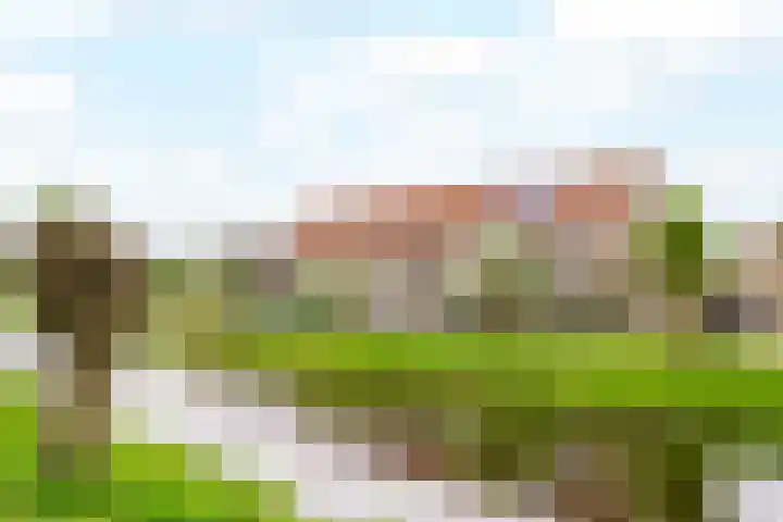 Zwolse Anjer 49 Nootdorp thumbnail 22