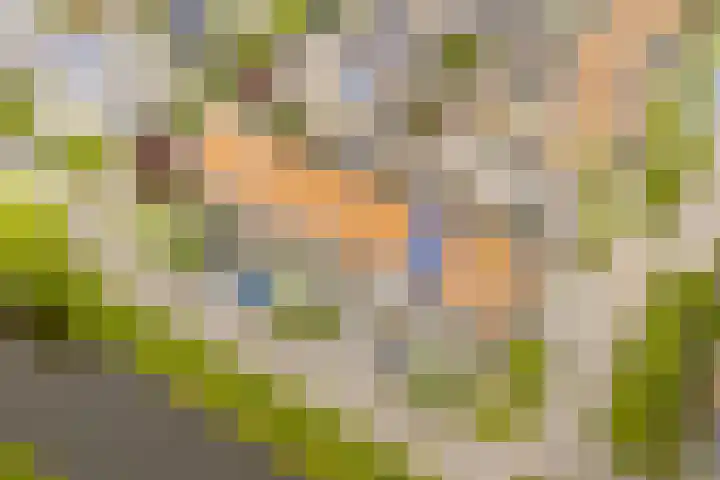 Zwolse Anjer 49 Nootdorp thumbnail 23