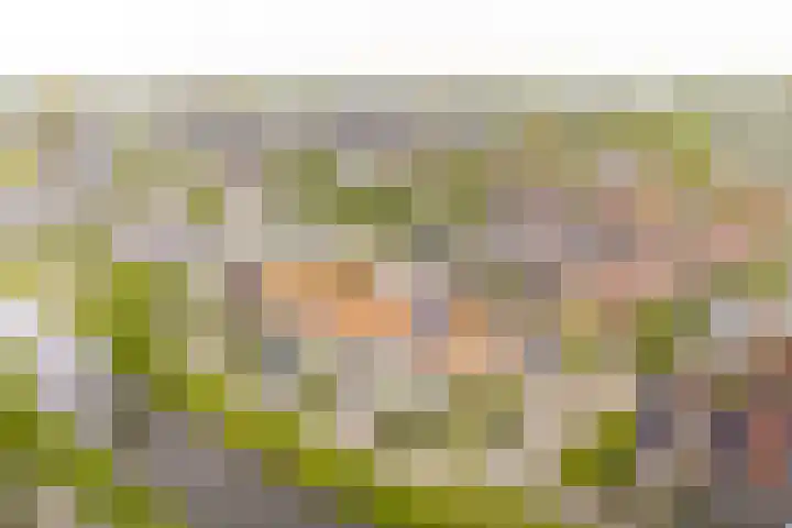 Zwolse Anjer 49 Nootdorp thumbnail 24