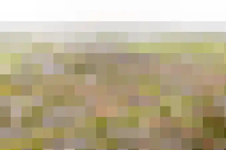 Zwolse Anjer 49 Nootdorp thumbnail 25