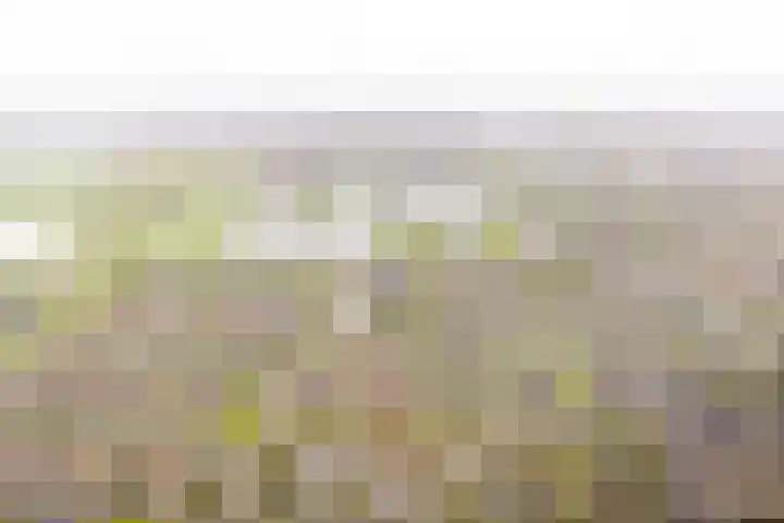 Zwolse Anjer 49 Nootdorp thumbnail 26