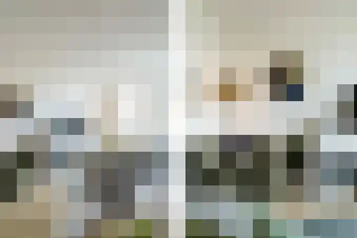 Zwolse Anjer 49 Nootdorp thumbnail 5