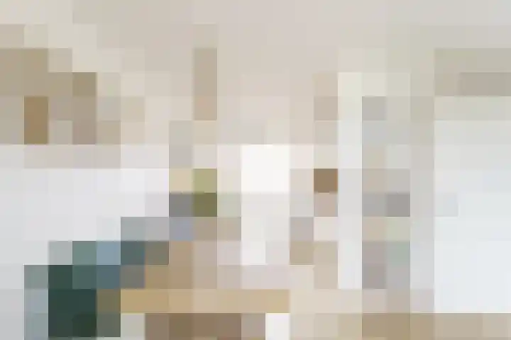 Zwolse Anjer 49 Nootdorp thumbnail 8