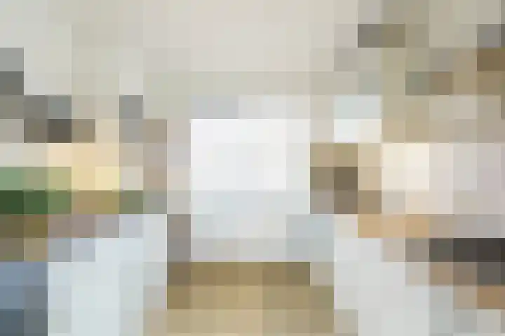Zwolse Anjer 49 Nootdorp thumbnail 9