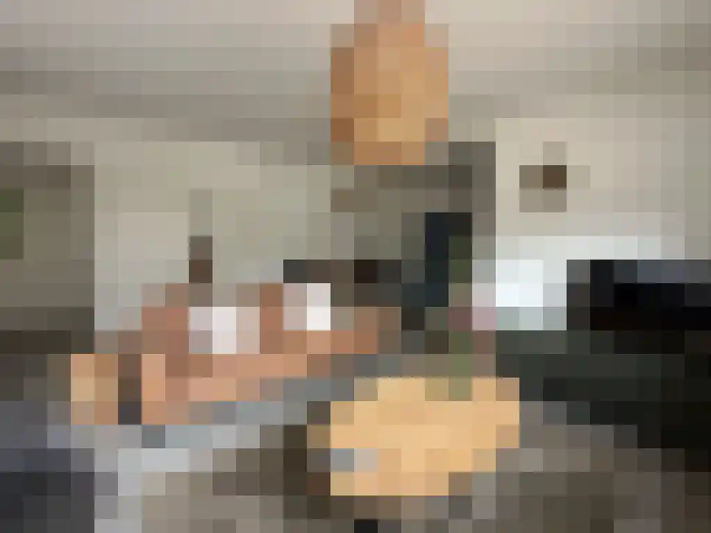 Zwolse Binnenweg Apeldoorn thumbnail 4