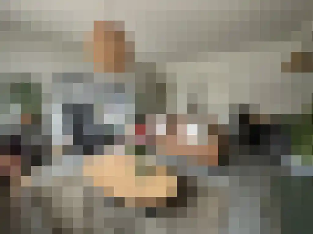 Zwolse Binnenweg Apeldoorn thumbnail 5