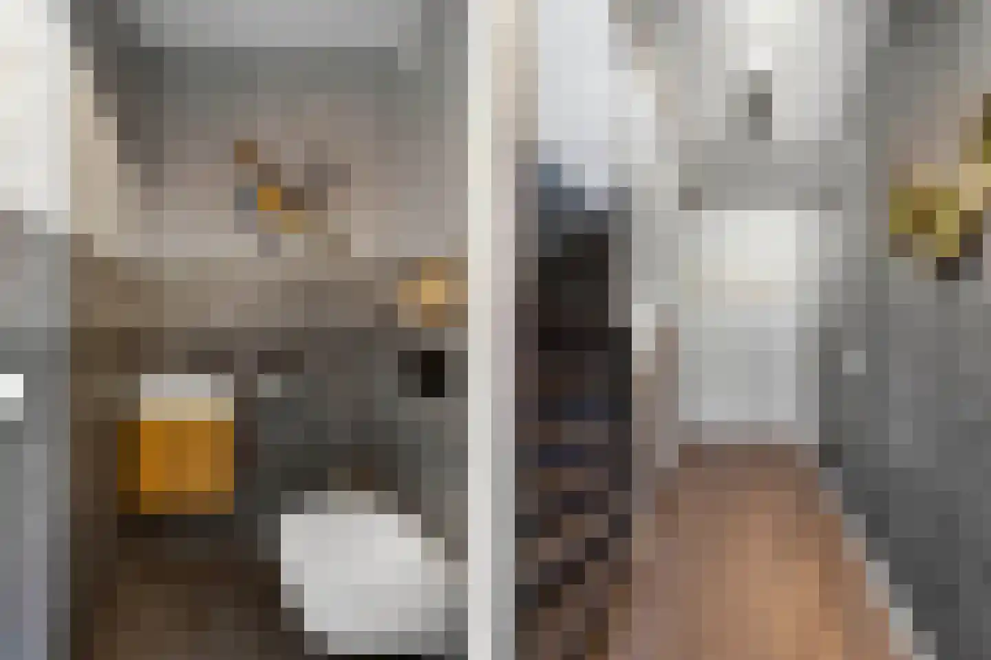 Zwolse Diep 12 Kraggenburg thumbnail 12