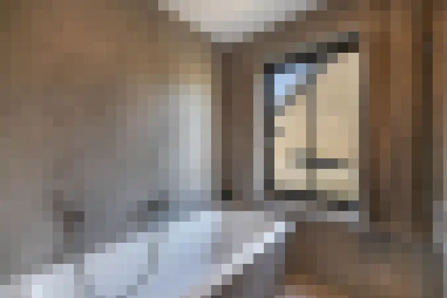 Zwolse Diep 12 Kraggenburg thumbnail 46