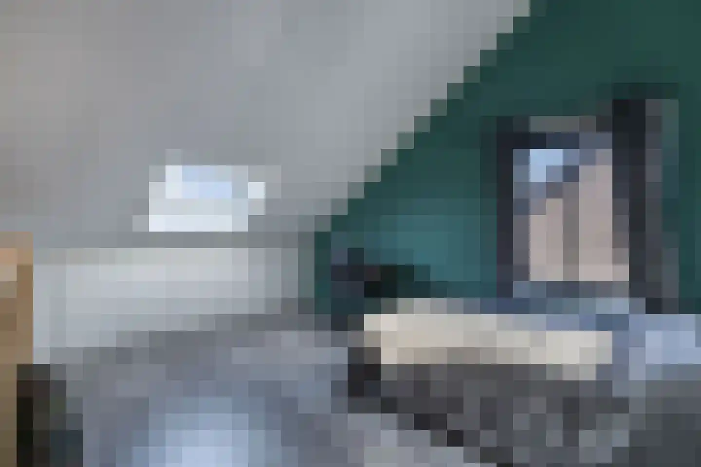 Zwolse Diep 12 Kraggenburg thumbnail 49