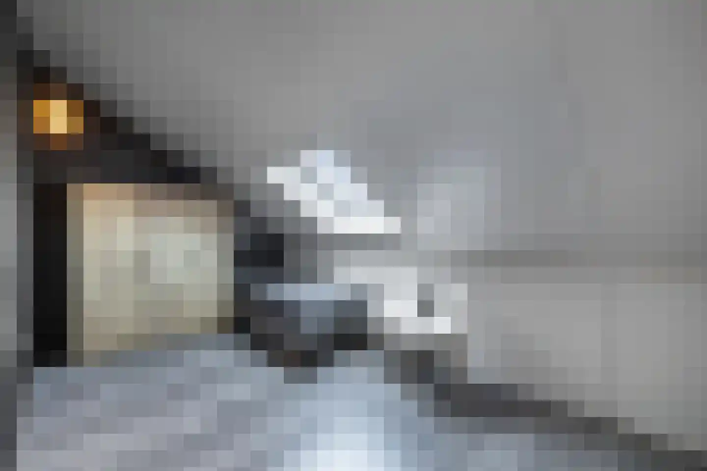 Zwolse Diep 12 Kraggenburg thumbnail 51
