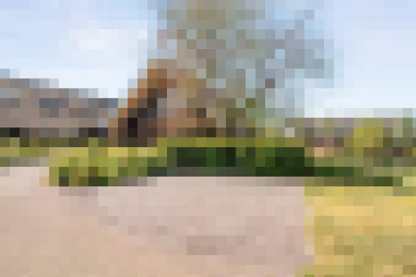 Zwolsedijk 16 b Hasselt thumbnail 10