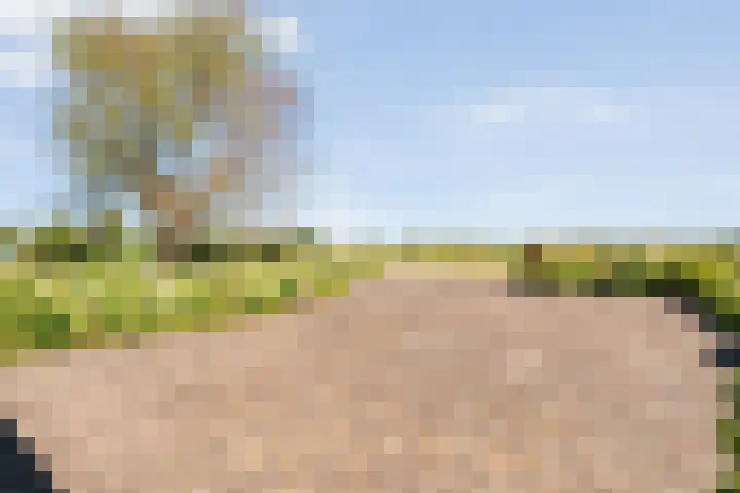 Zwolsedijk 16 b Hasselt thumbnail 11