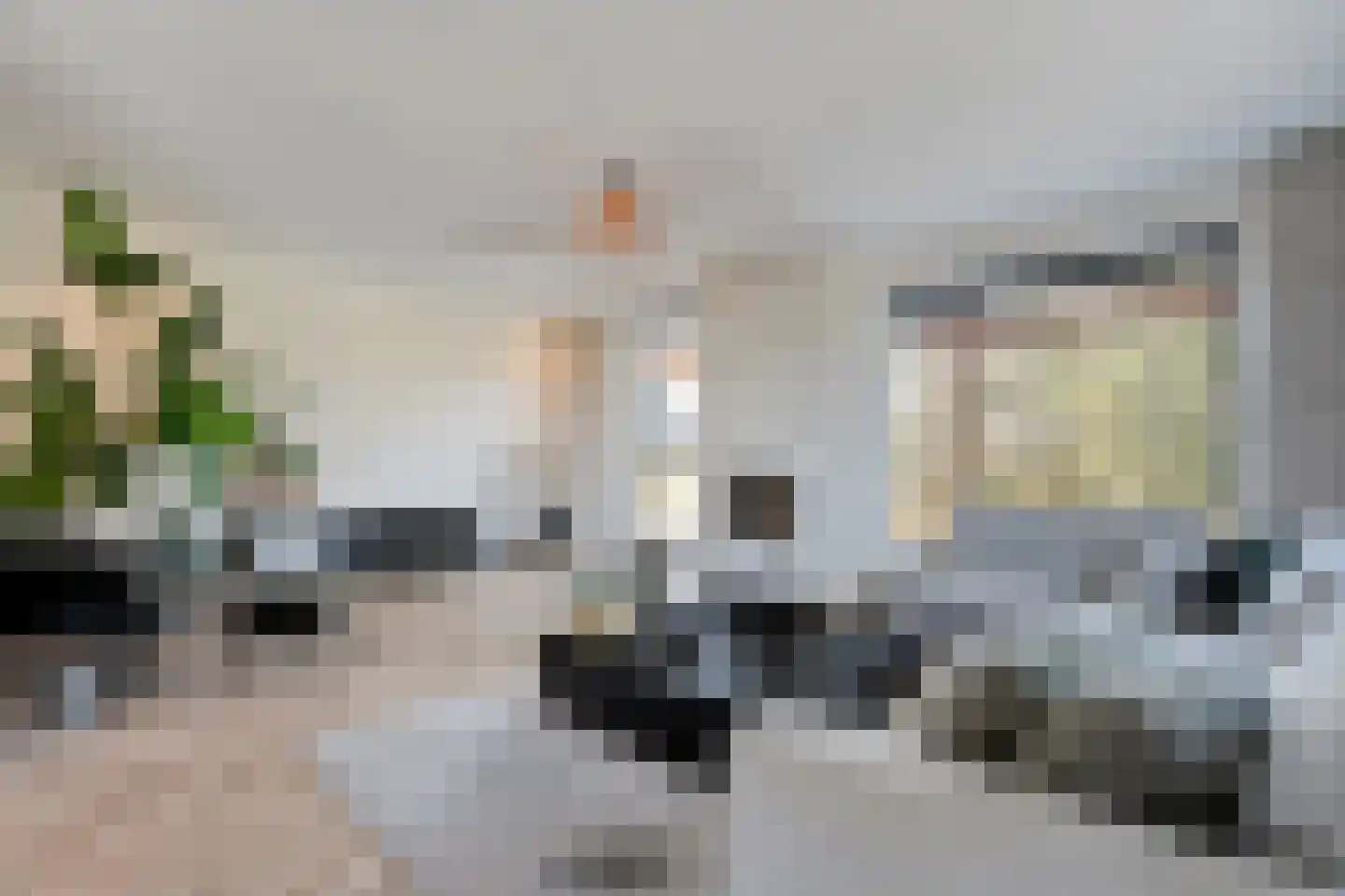 Zwolsedijk 16 b Hasselt thumbnail 20