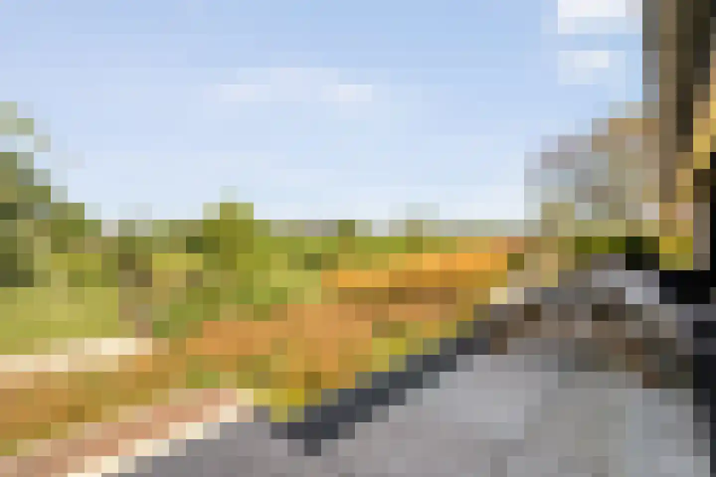 Zwolsedijk 16 b Hasselt thumbnail 48
