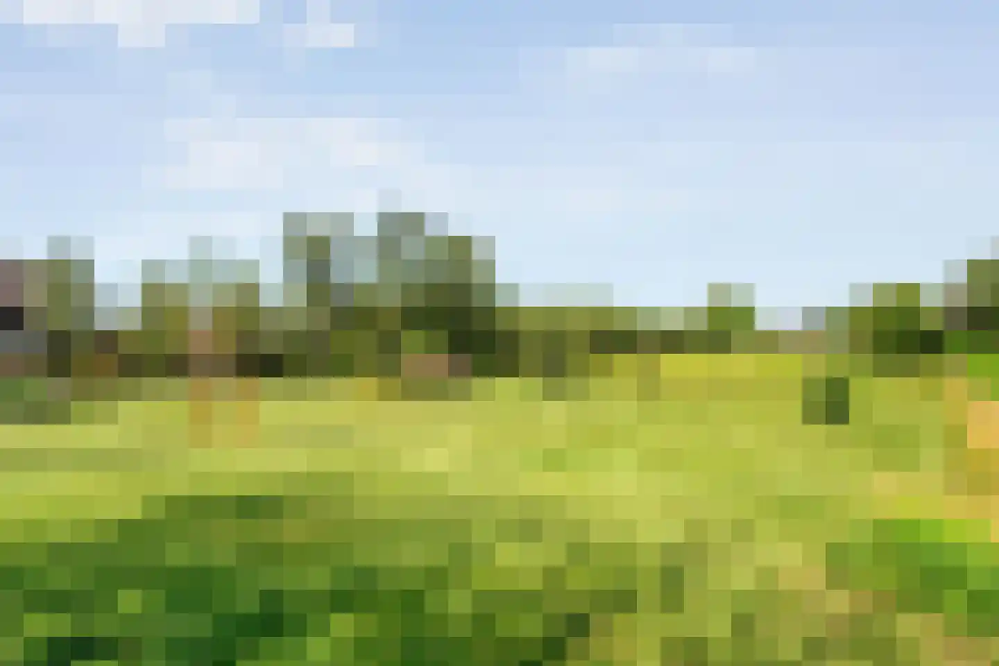 Zwolsedijk 16 b Hasselt thumbnail 53