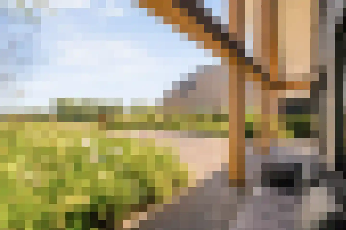 Zwolsedijk 16 b Hasselt thumbnail 57