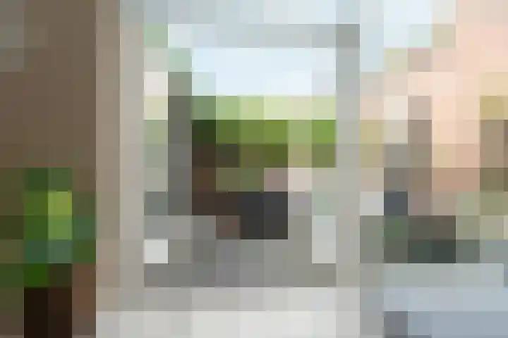 Zwolsedwarsstraat 5 Deventer thumbnail 4
