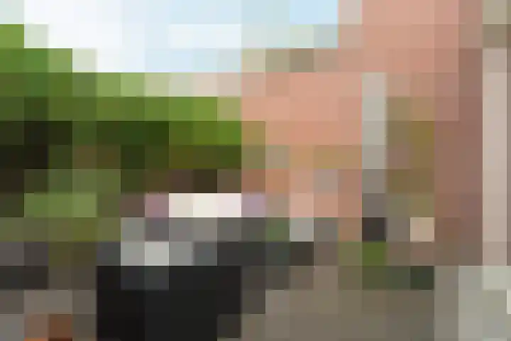 Zwolsedwarsstraat 5 Deventer thumbnail 5