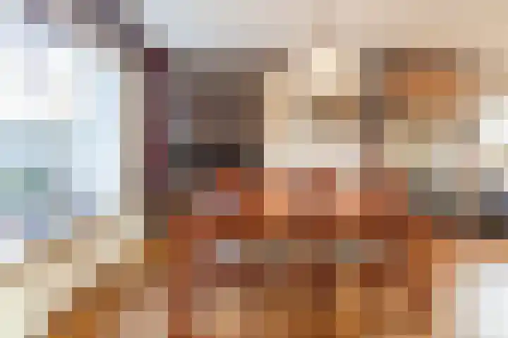 Zwolsekanaal 20 Vroomshoop thumbnail 11
