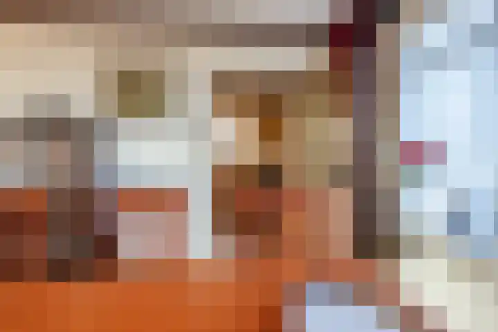 Zwolsekanaal 20 Vroomshoop thumbnail 12