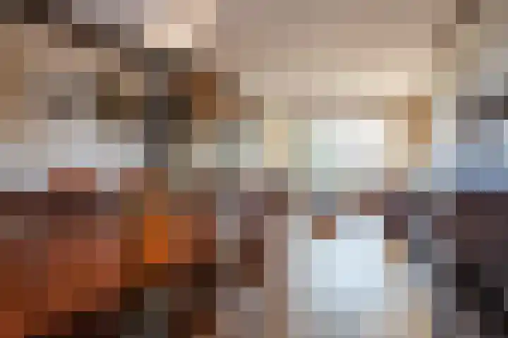 Zwolsekanaal 20 Vroomshoop thumbnail 13