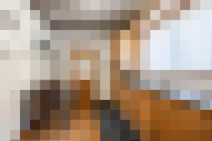 Zwolsekanaal 20 Vroomshoop thumbnail 15