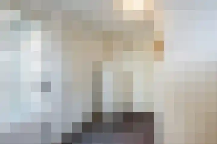 Zwolsekanaal 20 Vroomshoop thumbnail 17