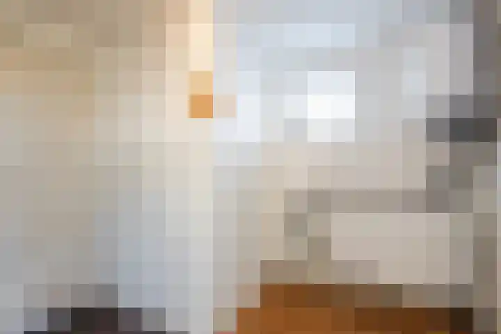 Zwolsekanaal 20 Vroomshoop thumbnail 19