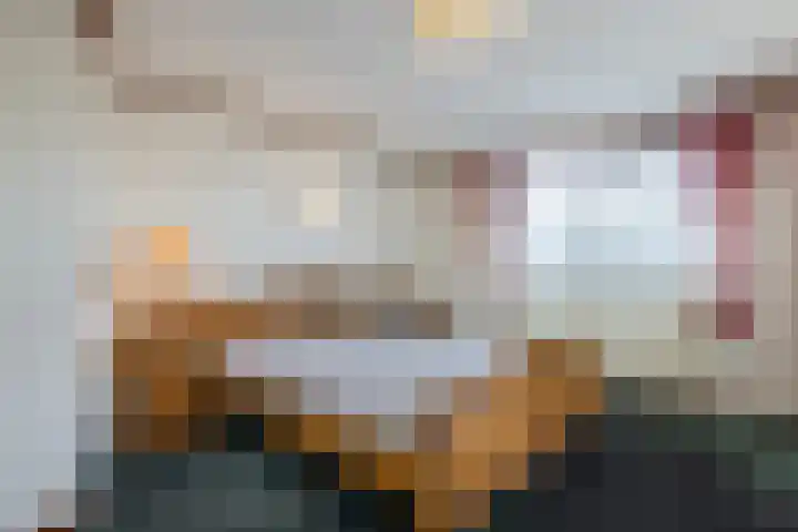 Zwolsekanaal 20 Vroomshoop thumbnail 23
