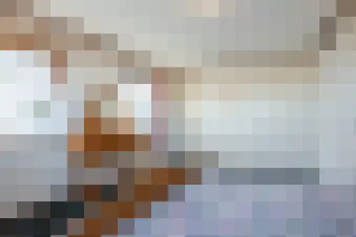 Zwolsekanaal 20 Vroomshoop thumbnail 24