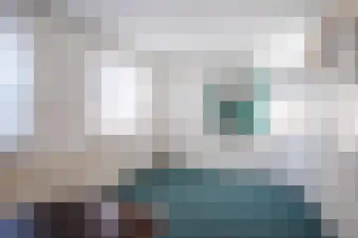 Zwolsekanaal 20 Vroomshoop thumbnail 27