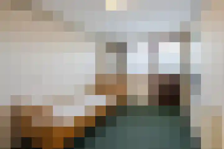 Zwolsekanaal 20 Vroomshoop thumbnail 28