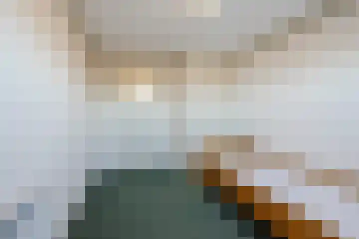Zwolsekanaal 20 Vroomshoop thumbnail 29