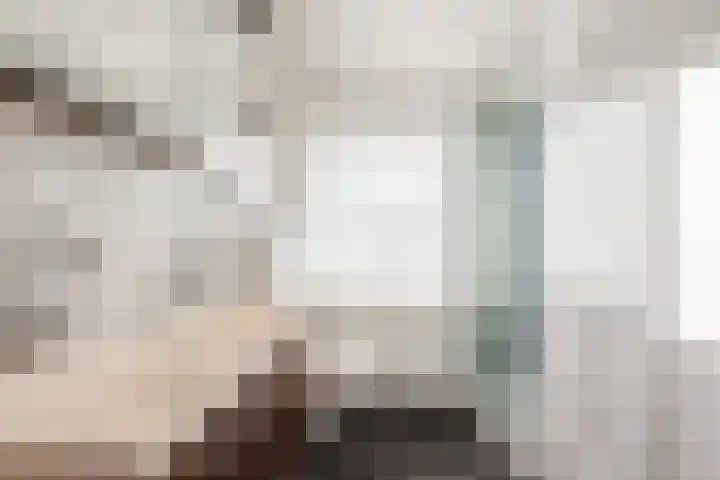 Zwolsekanaal 20 Vroomshoop thumbnail 33
