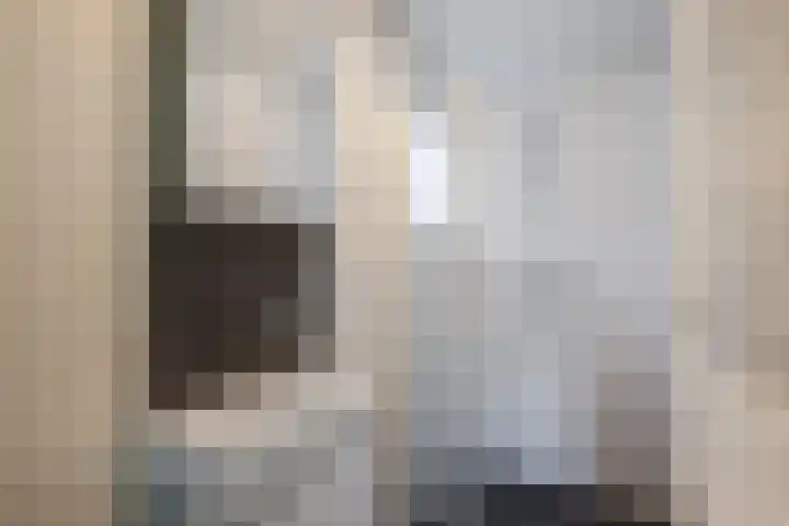 Zwolsekanaal 20 Vroomshoop thumbnail 34