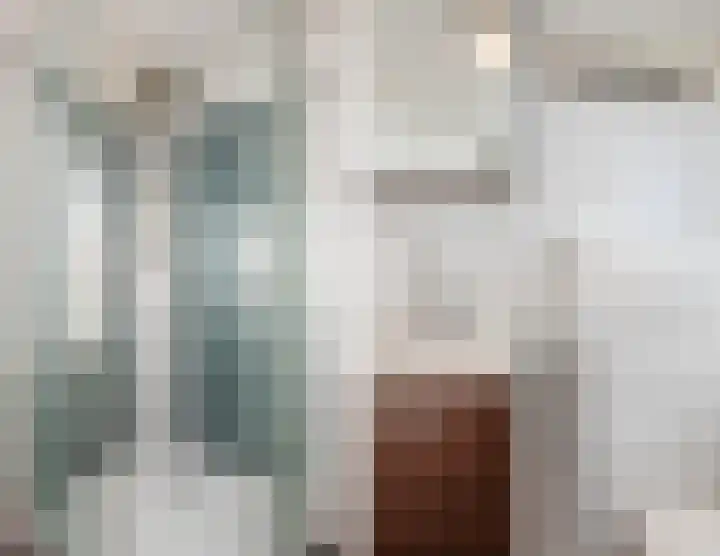 Zwolsekanaal 20 Vroomshoop thumbnail 35
