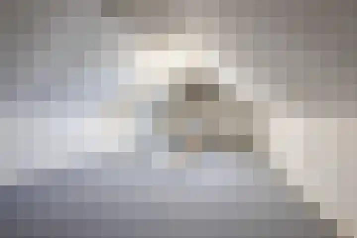 Zwolsekanaal 20 Vroomshoop thumbnail 37